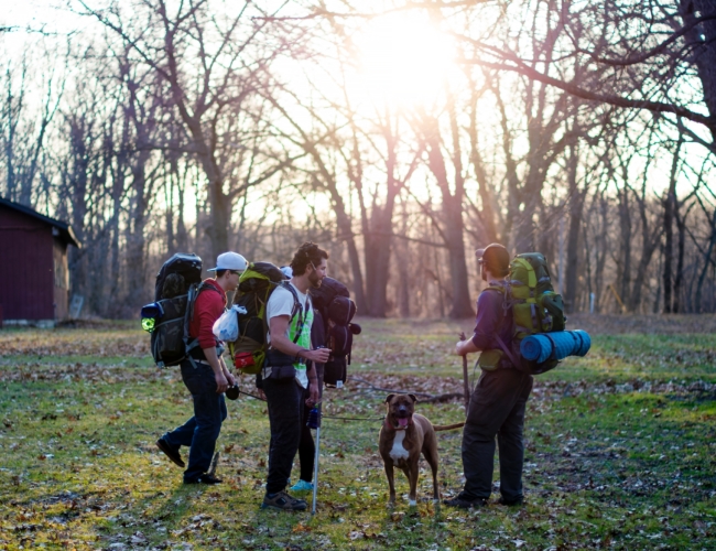 dog walking group