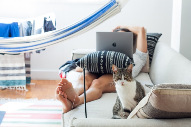 emotional support cat on couch