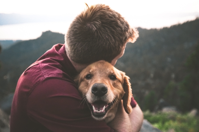 emotional support dog in puerto rico