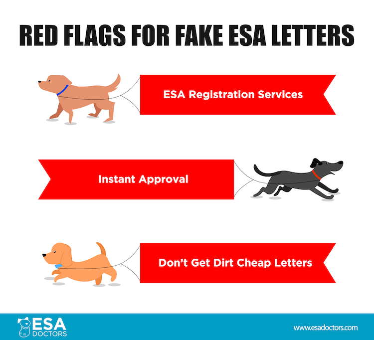 Red flags for fake esa letters