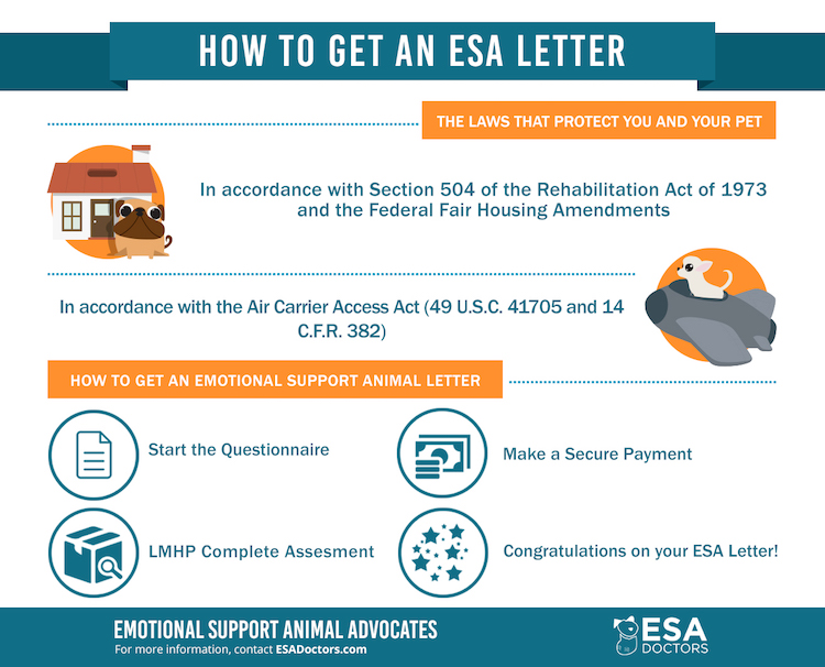 How get an Legit ESA Letter. ESA Doctors