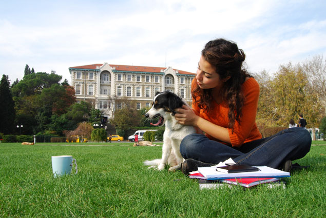 Allowing Pets in College Dorms