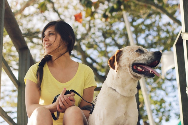 All airlines that fly to and from Massachusetts must allow psychiatric service dogs. - ESA Doctors