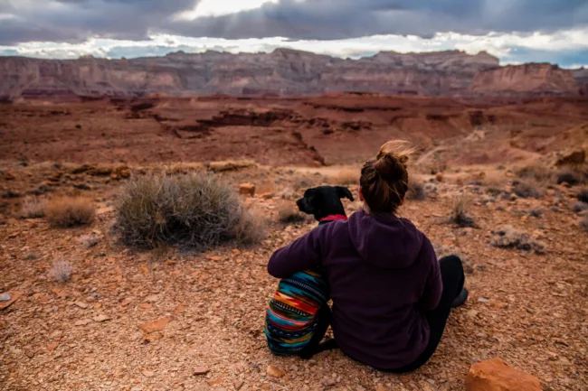 Dog in a sweater with girl enjoying the outdoors - ESA Doctors