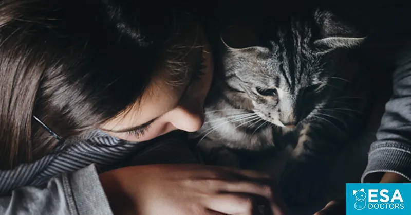 How to Register an Emotional Support Cat